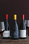 Verschiedene Weinflaschen aus Italien: Lamuri Nero d’ Avola (Jahrgang 2012), Leone d’ Almerita (Jahrgang 2013)•, Tascante Terza Vendemmia (Jahrgang 2010)