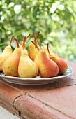 Pears on a plate on a garden wall