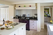 Island counter and classic cabinets with doors in various pale shades in open-plan kitchen