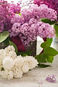 Pink and white lilac flowers in a basket