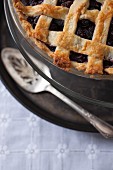 A mulberry pie with a lattice crust (detail)