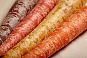 Various different coloured organic carrots (detailed)