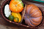 Various pumpkins in a wicker basket