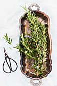 Fresh rosemary sprigs with flowers (seen from above)