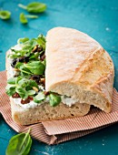 Ciabatta sandwich with herb cream, lambs lettuce, olives and pine nuts