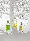 Fruity summer scents with lime, mint and lemon – three bottles of perfume on a grey botanic-patterned surface