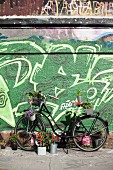 Mit Pflanzen dekoriertes Fahrrad vor mit Graffiti besprühter Wand in Stadt