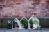 Kräuterpflanzen in kleinen dekorativen Holzhäusern vor Ziegelsteinwand