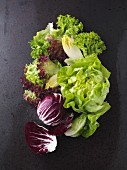 An arrangement of various lettuce leaves