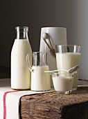 An arrangement of milk and various dairy products