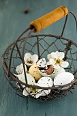 Sugar-coated chocolate eggs and pear blossom in wire basket