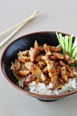 Teriyaki chicken with rice and spring onions (Japan)