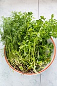 Fresh dill and cress in a bowl