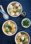 Vegetable soup with noodles and chicken dumplings