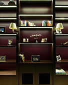 Dark wood shelving with integrated light strips and traditional sconce lamps