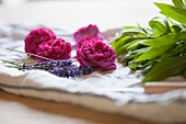 Verbena, roses and lavender flowers