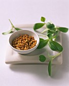 A bowl of fenugreek seeds