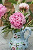 Pink peony in painted jug