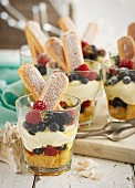Trifles with berries and sponge fingers