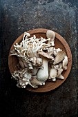 Various fresh mushrooms in a wooden bowl on a metal surface