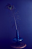 A peacock feather in a blue glass vase