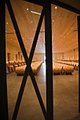 Blick in Weinkeller mit Barriquefässern des Château Fourcas Hosten (Bordeaux, Frankreich)