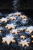 Star biscuit with icing sugar