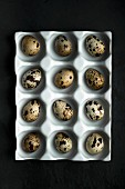 Quails eggs in a ceramic egg box