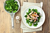 Fried kale salad with grilled salmon and red onions