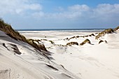 Dunes on Amrum on the Baltic Sea coast