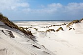 Dünen auf Amrum an der Nordsee