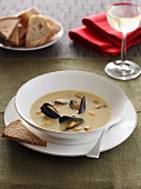 Cream of mussel soup Billy Bi