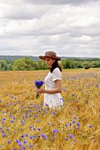 A woman in a corn field with a bunch of cornflowers