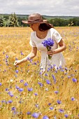 Frau pflückt Kornblumen im Getreidefeld