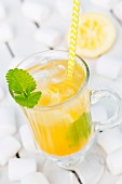 Iced tea with lemon balm