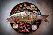 Larded fish with ingredients on a round baking tray
