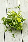 Fresh watercress in a bowl on a wooden surface