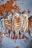 Grilled fish on a sales stand