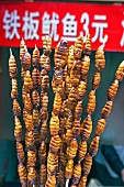 Larvae on skewers at Dong Hua Men market, Beijing, China, Asia