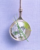 A quark dip with dill and chives on a silver spoon
