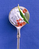 A quark dip with goat's cheese and wild garlic on a spoon