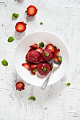 Erdbeersorbet mit frischer Minze auf einem weißen Teller (Draufsicht)