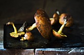 Porcini mushrooms on a baking tray