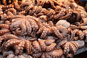 Octopus at a market