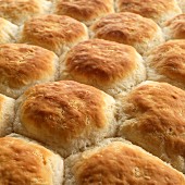 Frisch gebackene Biscuits in der Pfanne (Close Up)