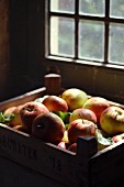 Apples in a crate in a barn