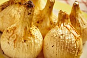 Roasted onions (close-up)