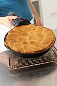A woman holding a freshly baked apple cake in a pan