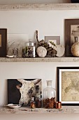 Pictures and various collectors' items on rustic wooden shelves in country-house interior