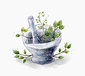 Herbs in a stone mortar (illustration)